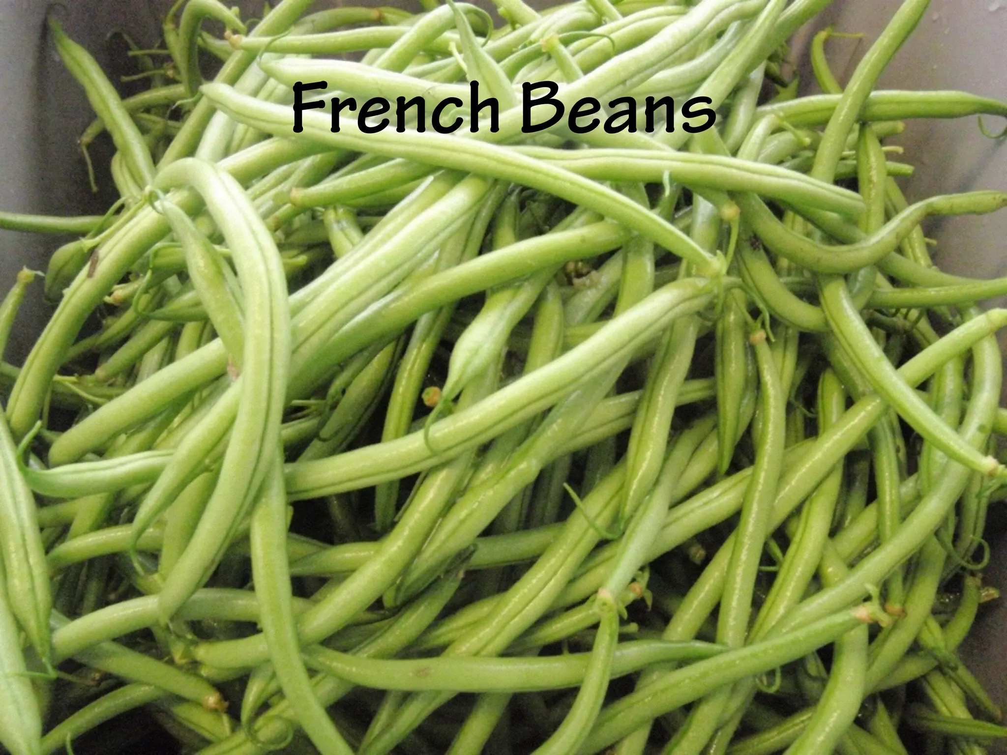 French Beans
 