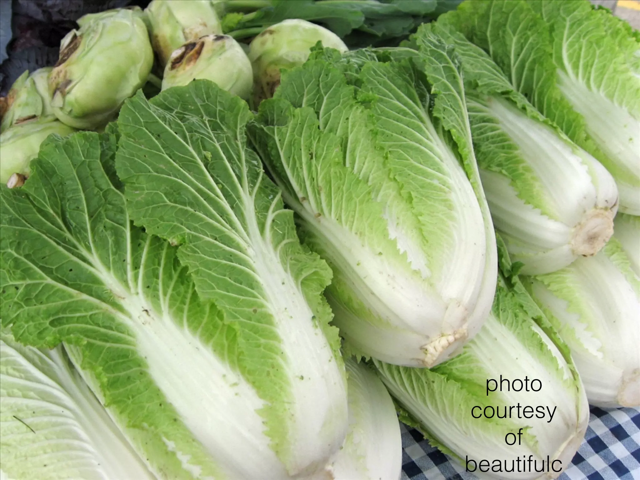 photo
courtesy
of
beautifulc
 