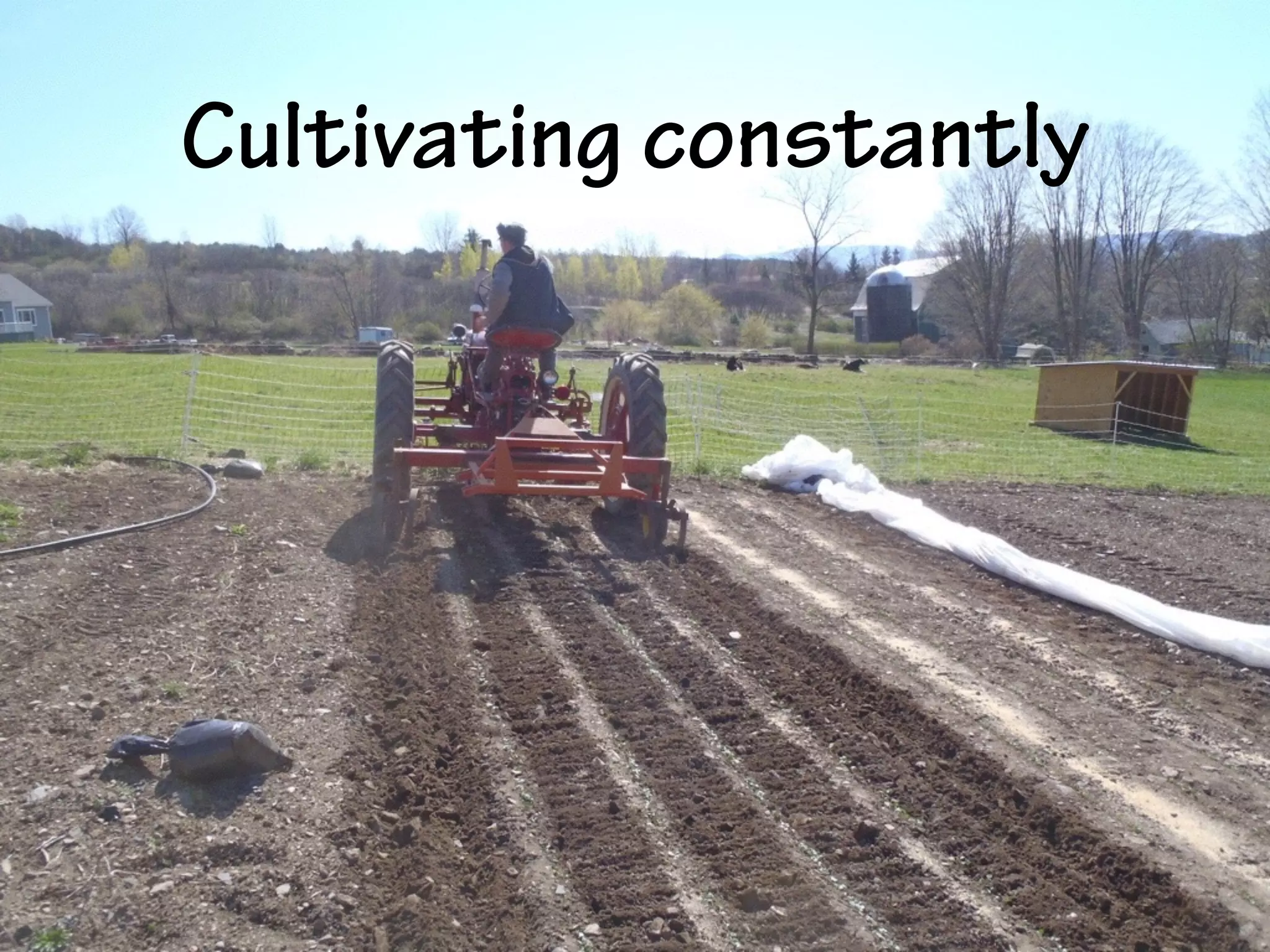Cultivating constantly
 