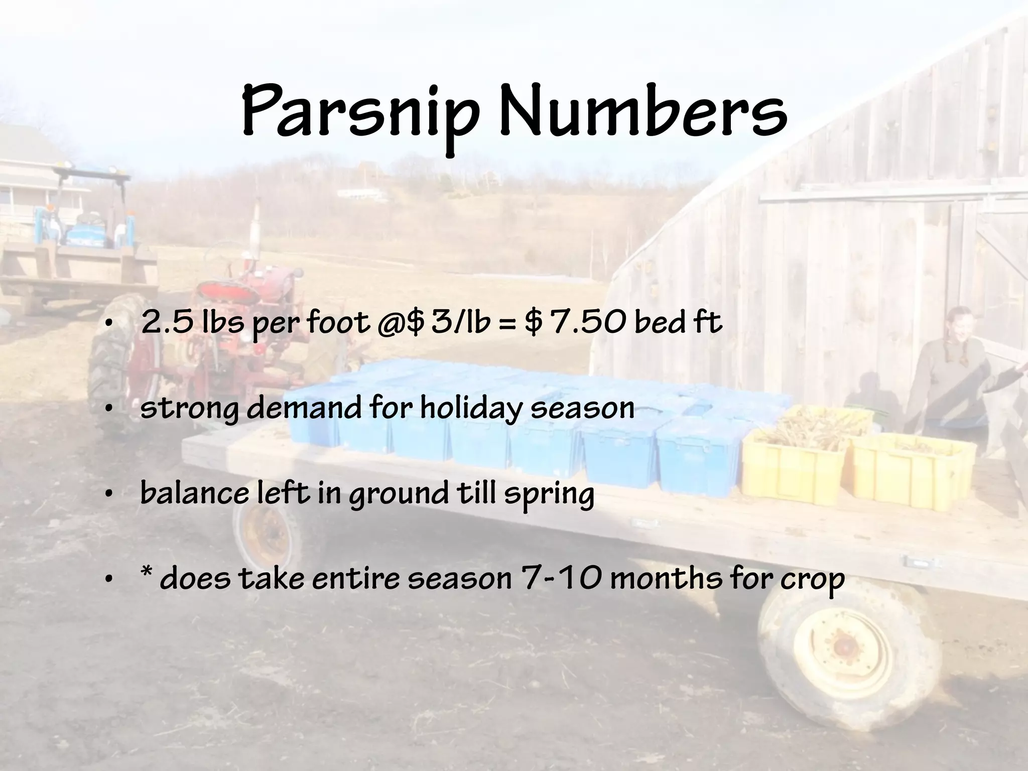 Parsnip Numbers
• 2.5 lbs per foot @$3/lb = $7.50 bed ft
• strong demand for holiday season
• balance left in ground till spring
• * does take entire season 7-10 months for crop
 