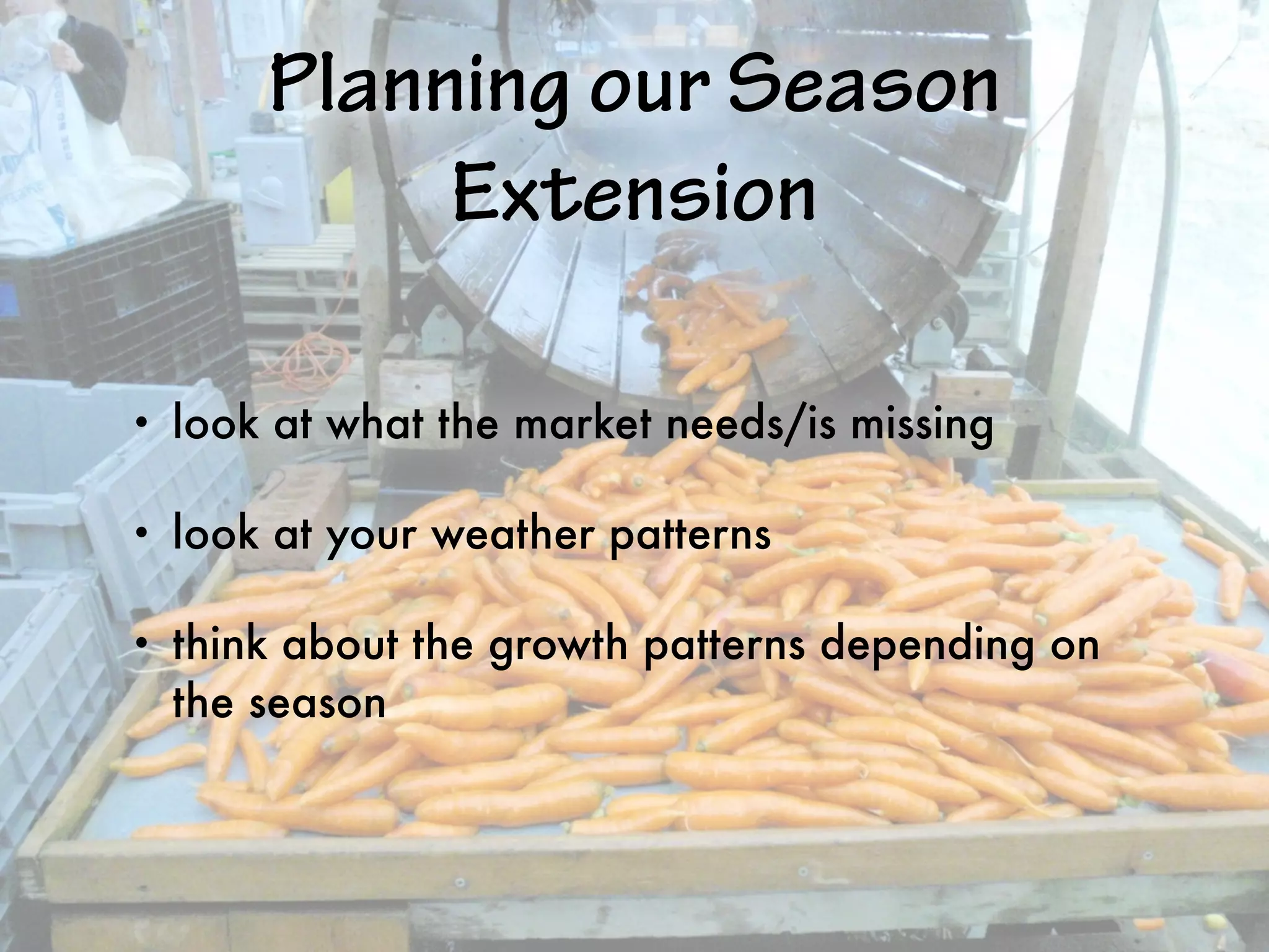 Planning our Season
Extension
• look at what the market needs/is missing
• look at your weather patterns
• think about the growth patterns depending on
the season
 