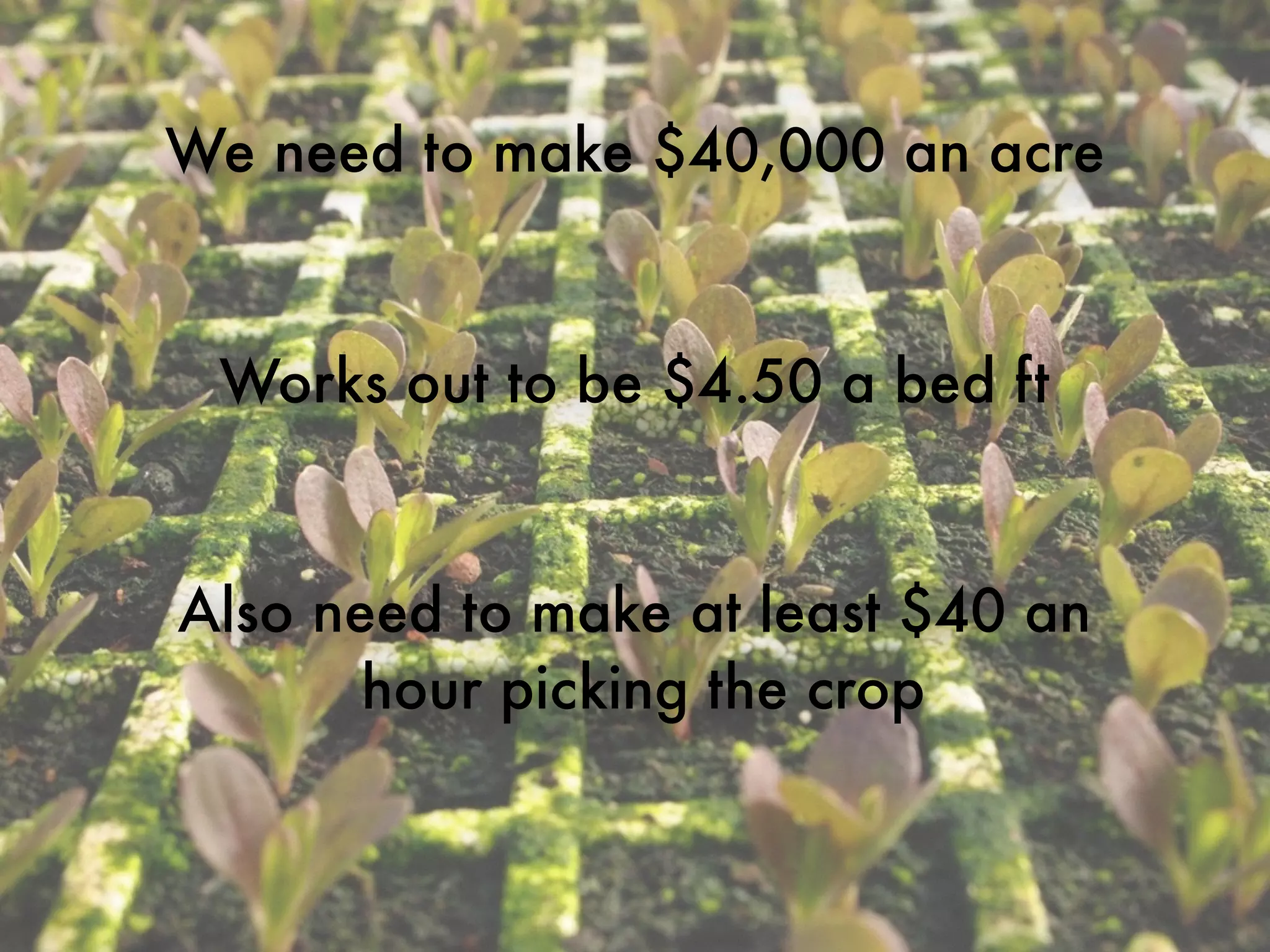 We need to make $40,000 an acre
Also need to make at least $40 an
hour picking the crop
Works out to be $4.50 a bed ft
 