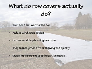 What do row covers actually
do?
• Trap heat and warms the soil
• reduce wind desiccation
• cut sunscalding/burning on crops
• keep frozen greens from thawing too quickly
• traps moisture reduces irrigation needs
 