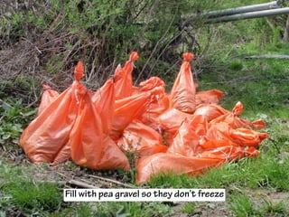 Fill with pea gravel so they don’t freeze
 