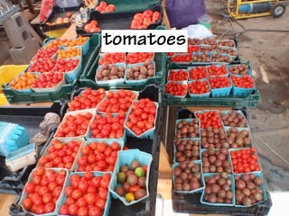 tomatoes
 