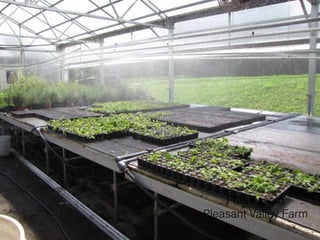 Paul Arnold
Pleasant Valley Farm
 