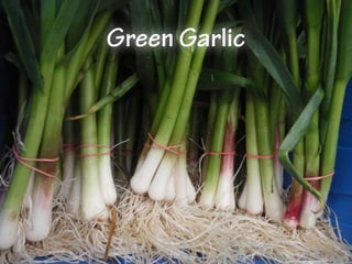 Green Garlic
 