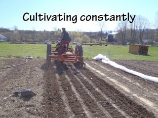Cultivating constantly
 