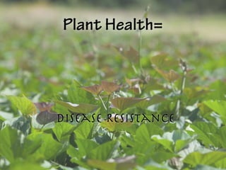 Plant Health=
Disease Resistance
 