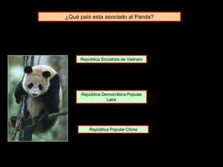 ¿Qué país esta asociado al Panda?
República Democrática Popular
Laos
República Socialista de Vietnam
República Popular China
 