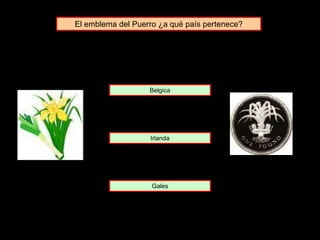 El emblema del Puerro ¿a qué país pertenece?
Belgica
Irlanda
Gales
 