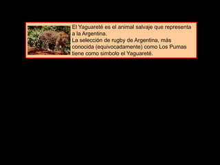 El Yaguareté es el animal salvaje que representa
a la Argentina.
La selección de rugby de Argentina, más
conocida (equivocadamente) como Los Pumas
tiene como simbolo el Yaguareté.
 