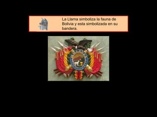La Llama simboliza la fauna de
Bolivia y esta simbolizada en su
bandera.
 
