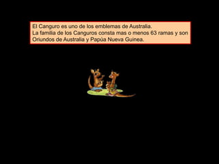 El Canguro es uno de los emblemas de Australia.
La familia de los Canguros consta mas o menos 63 ramas y son
Oriundos de Australia y Papúa Nueva Guinea.
 