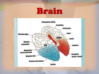 Brain
 