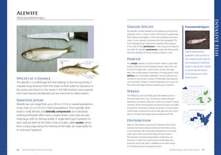 This is a field guide for fish researchers | PDF
