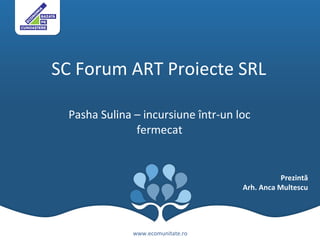 SC Forum ART Proiecte SRL  Pasha Sulina – incursiune  î ntr-un loc fermecat www.ecomunitate.ro Prezintă Arh. Anca Multescu 
