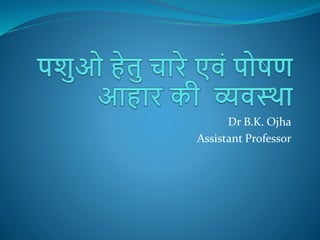 Dr B.K. Ojha
Assistant Professor
 