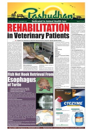12     DECEMBER 2010                      Dedicated to Animal Health Care



REHABILITATION
                                                                                                                                                                                                b)Promoting post-operative recovery
                                                                                                                                                                                                c)Co n s e r vat i ve m a n a g e m e nt o f
                                                                                                                                                                                                  orthopedic or neurological patients.
                                                                                                                                                                                                d)Treating severely debilitated patients.
                                                                                                                                                                                                e)Aiding weight loss in obese patients
                                                                                                                                                                                                We will now go through the various
                                                                                                                                                                                                treatment modalities of physical
                                                                                                                                                                                                rehabilitation. Physical rehabilitation




in Veterinary Patients
                                                                                                                                                                                                can be classified into:
                                                                                                                                                                                                1. Cryotherapy/hypothermia: Cold
                                                                                                                                                                                                therapy is used to manage acute phase
                                                                                                                                                                                                of tissue injury.Cryotherapy is used to
                                                                                                                                                                                                treat post operative inflammation,
                                                                                                                                                                                                musculo skeletal trauma, muscle spasm,
                                                                                                                                                                                                and to minimize secondary inflam-
                                                                                                                                                                                                mation following therapeutic exercise.
                             Tripathi S.D, Lokhande D.U, Adsul P.B, Jodumoni Kachari, Satyawan Agivale, Zenobia Chinoy                                                                          Ice packs, ice massage with homemade
                                                                                                                                                                                                popsicles, running cold water over
The field of veterinary surgery has had a                                                                                                     as cattle, goats, sheep etc. It is primarily
                                                                                                                                                                                                affected tissue, cold water immersion or
tremendous progress in the last quarter                                                                                                       used to treat orthopedic and                      cold compression can be used. However
of 20th century. Procedures like                                                                                                              neurological diseases and encompasses             a towel should be applied over the
or thopedic implants and spinal                                                                                                               the use of physical or mechanical agents          affected site to protect the skin. These
surgeries are increasingly becoming                                                                                                           such as                                           applications can be done for 15-20
common. Ideally post-operative                                                                                                                                                                  minutes and repeated every 4 hours
                                                                                                                                              a) Light
orthopedic care has consisted of 6-12                                                                                                                                                           upto 72 hours
weeks of cage rest. While most surgeons                                                                                                       b) Thermotherapy
                                                                                                                                                                                                2. Heat therapy/hyperthermia: It is
have felt the outcome of fracture                                                                                                             c) Water
healing or other procedure as                                                                                                                                                                   used in management of chronic injuries
                                                                                                                                              d) Electricity                                    such as in reducing joint stiffness and
acceptable; with recent interest in
                                                                                                                                              e) Massage                                        increasing connective tissue elasticity
rehabilitation; it has become obvious
that a lot needs to be done to enhance                                                                                                        f) Exercise and                                   before stretching or exercise. An
the functional mobility of the veterinary                                                                                                     g) Provision of appropriate bedding               insulating layer is applied to the
patient as well (Fossum, 2002). People                                                                                                        material.                                         affected area. Then commercially
are now keeping pets not just for fad or                                                                                                      Advances in veterinary medicine have              available packs or hot towel are secured
societal show off, but they consider                                                                                                          led to a longer life expectancy for most          to the affected part by means of straps
them to be a part of their family. It is not                                                                                                  domestic pets. This in turn has resulted          for 15-20 minutes every 4 hours. It
infrequent to find owners ready to move                                                                                                       in increased number of animals with               should not be used in acute
heaven and earth for the welfare of their                                                                                                     chronic discomfort such as dege-                  inflammation or in animals with
pets. This has also led to development of      Fig.1: A great Dane undergoing NMES                                                            nerative joint disease, arthritis etc.            decreased or absent sensation, poor
certain lifestyle diseases such as obesity                                                                                                                                                      thermoregulation or bleeding disorders
                                                                                                                                              There are a lot of owners who do not
in pets. Owners now demand a similar                                                                                                                                                            such as in animals with DIC, deficiency
                                               What is rehabilitation?                       rehabilitation, physical therapy or              want to euthanize their pets or even
level of physical therapy as is available                                                                                                                                                       of von will brand's factor etc.
                                               Derived from the Latin word rehabilitor,      physiotherapy.                                   their sheep or goat due to emotional or
for humans. It is now more than ever the
                                               it simply means to restore ability. Some                                                       religious reasons; because of such                3. Therapeutic ultrasound: It is used
veterinary team's duty to use all the                                                        However, it is not just restricted to pet
                                                                                                                                              conditions. The application of physical           for treatment of chronic tendonitis,
modalities at their disposal to return the     of the other colloquial terms which are       a n i m a l s b u t a l s o i nvo l ve s t h e
                                                                                                                                              rehabilitation modalities can provide an
pets to their former level of activity         now being used are canine or feline           rehabilitation of domestic animals such                                                            limited range of motions secondary to
                                                                                                                                              excellent option for treatment and
                                                                                                                                              symptomatic relief of such patients;              tissue contractions, Myositis, Bicipital
                                                                                                                                              especially so in countries like India             tendonitis, Muscle spasms. It can also be
                                                                                                                                                                                                used in wounds of upto 2 weeks after


Fish Net Hook Retrieval From
                                                                                                                                              where religious/emotional fervor far
                                                                                                                                              out-weighs logical or economic                    injury or chronic wound or also for
                                                                                                                                              decisions. Physical rehabilitation used in        phonophoresis is which is nothing but
                                                                                                                                              conjunction with standard medical and             enhanced delivery of topically applied
                                                                                                                                              surgical treatment with proper pain               drugs by means of ultrasound. After




Esophagus
                                                                                                                                              management can facilitate early and               clipping of the hairs and application of
                                                                                                                                              more complete recovery from surgery               coupling gel frequencies of 1 MHz for
                                                                                                                                              and trauma. It can also prolong the lives,        depths upto 2-5 cms and 3 MHz for
                                                                                                                                              reduce pain and improve the quality of            superficial lesions can be used for 5
                                                                                                                                              life of patients suffering chronic,
                                                                                                                                                                                                minutes daily upto 10 days. Therapeutic
                                                                                                                                              incurable orthopedic, musculoskeletal,


of Turtle                                                                                                                                     neuromuscular conditions.                         USG should not to be used in cases of
                                                                                                                                                                                                tumors, acute inflammation, infection or
                                                                                                                                              It can be used for
                                                                                                                                                                                                painful areas.
                                                                                                                                              a)Treating patients with chronic
                                                                                                                                                 osteoarthritis.                                                       Contd in page 4
         Tripathi S.D, Lokhande D.U, Adsul P.B,
         Jodumoni Kachari, Satyawan Agivale,
         Zenobia Chinoy & Cooper J.K.
                                                                                          Fig.No.1: Fish net hook after removal
 Fishing activity has played a very significant role in
 endangering the existence of turtles in the world. This is
 especially true in fresh water turtles which get entangled in
 the fish hook nets lowered in brackish water lagoons or fresh
 water lakes or ponds.
 Case history and presentation:
 An adult fresh water turtle was presented to the B.S.D.P.H. for
 animals at Parel, with a nylon string protruding from its mouth.
 The person who had brought it to the hospital said that he had
 found it near a lake in a very sedate condition. The turtle was
 sent for X-ray which revealed a J- shaped hook in the
 esophagus close to its entry at the thoracic region. The turtle
 was immediately anaesthetized with ketamine @32 mg/kg
                                                                                     Fig.No.2: D.V.X-ray showing fish net hook
 body weight intramuscularly. After induction of anaesthesia
                                                                                                                                                                                                    US Patent No : US 6, 984, 406 B2
 the neck was extended. A slight pressure towards the thoracic                                                                                      mannanase : 800,000 U/kg (minimum)
                                                                                                                                                                                                    EU Patent No : EP1292669
 end of the esophagus caused a protrusion of the fish hook. A
 small incision was made on the protrusion and the fish hook
 was retrieved. The skin and sub-cutis was sutured together by                                                                                     In Broilers: 500 gms. per ton of feed
 means of 2-0 nylon. The turtle was administered injection                                                                                         Benefits - Better performance, enhanced
                                                                                                                                                              availability of SBM, 3% (ME)
 ampicillin and cloxacillin at the dose rate of 25 mg/kg                                                                                                      down specification (reduction).
 intramuscular b.i.d for 5 days. The turtle recovered                                                                                                         Decreased fecal viscosity
                                                                                                                                                                                                                                       : 20 kg pack




 uneventfully and resumed its normal life                                                                                                          In Layers: 400 gms. per ton of feed
                                                                                                                                                   Benefits - Improved egg production and
 Summary:                                                                                                                                                     egg weight, 2% (ME) down
 Retrieval of fish net hook from the esophagus of a turtle is                                                                                                 specification (reduction).
 described in the present paper.
 Department of surgery and radiology, Bombay veterinary
 college, Parel-Mumbai                                                                    Fig. No.3: Turtle after complete recovery

    Regd. No. 50488/87 : Postal Registration No. CPMG/KA/BGGPO-126/2009-11                               Registered News Paper : Licenced to Post Without Prepayment. Licence No. WPP-11:BGPSO, 6th
 