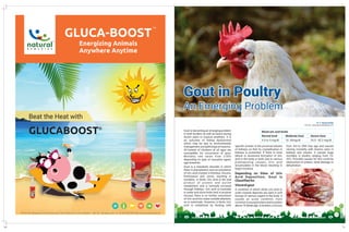 Pashudhan may 2018 c2 c