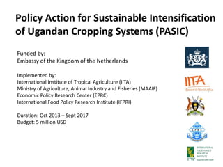 Policy Action for Sustainable Intensification
of Ugandan Cropping Systems (PASIC)
Funded by:
Embassy of the Kingdom of the Netherlands
Implemented by:
International Institute of Tropical Agriculture (IITA)
Ministry of Agriculture, Animal Industry and Fisheries (MAAIF)
Economic Policy Research Center (EPRC)
International Food Policy Research Institute (IFPRI)
Duration: Oct 2013 – Sept 2017
Budget: 5 million USD
 
