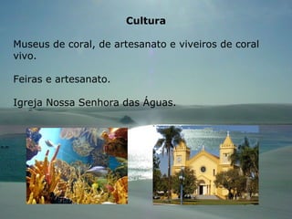 Cultura Museus de coral, de artesanato e viveiros de coral vivo.  Feiras e artesanato. Igreja Nossa Senhora das Águas. 