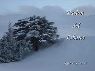 PasiónPasión
deldel
LíbanoLíbano
Según el Salmo 22Según el Salmo 22
 
