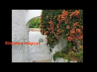 Rincones mágicos