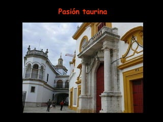 Pasión taurina