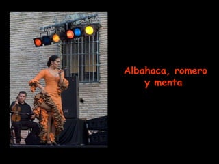 Albahaca, romero y menta