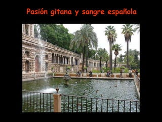 Pasión gitana y sangre española