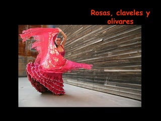 Rosas, claveles y olivares