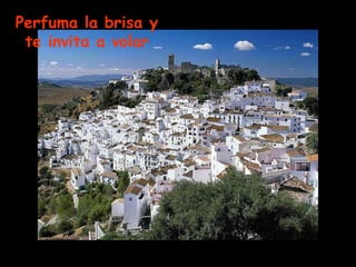 Perfuma la brisa y te invita a volar