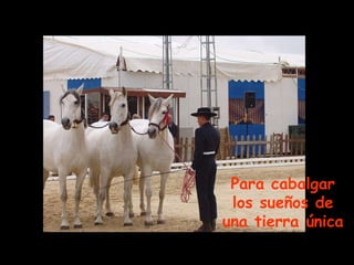 Para cabalgar los sueños de una tierra única