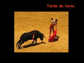 Tarde de toros