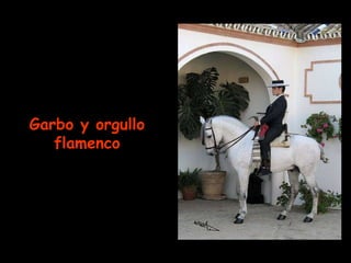 Garbo y orgullo flamenco