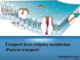 Damnjanović Ivana
Tranport kroz ćelijsku membranu
-Pasivni transport
 