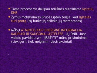 Tame procese vis daugiau reikšmės suteikiama ląstelių
DNR
Žymus mokslininkas Bruce Lipton teigia, kad ląstelės
turi protą (tą funkciją atlieka jų membranos)
MŪSŲ ATMINTIS KAIP ENERGINĖ INFORMACIJA
KAUPIASI IR SAUGOMA LĄSTELĖSE, JŲ DNR. Jose
vaizdų pavidalu yra “ĮRAŠYTI” mūsų prisiminimai
(tiek geri, tiek neigiami –destrukciniai)
.
 