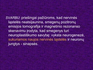 SVARBU: priešingai pažiūroms, kad nervinės
ląstelės neatsijaunina, smegenų pozitronų
emisijos tomografija ir magnetinio rezonanso
skenavimu įrodyta, kad smegenys turi
neuroplastiškumo savybę: vyksta neurogenezė,
sukuriamos naujos nervinės ląstelės ir neuronų
jungtys - sinapsės.
 