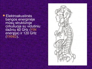 Elektroakustinės
bangos energinėje
mūsų struktūroje
cirkuliuoja su vidutiniu
dažniu 60 GHz (YIN
energija) ir 120 GHz
(YANG).
 