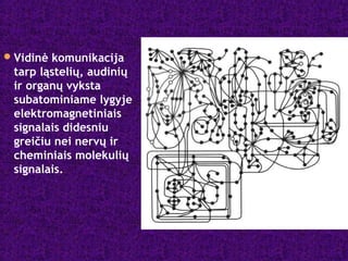 Vidinė komunikacija
tarp ląstelių, audinių
ir organų vyksta
subatominiame lygyje
elektromagnetiniais
signalais didesniu
greičiu nei nervų ir
cheminiais molekulių
signalais.
 