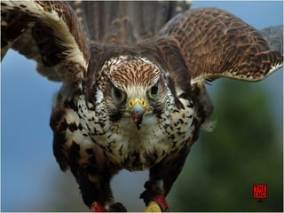 Pasme se com-estas_fotos_!!!__