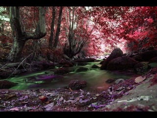 Pasme se com-estas_fotos_!!!__