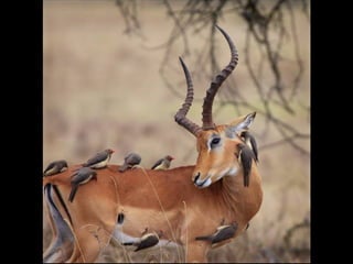 Pasme se com-estas_fotos_!!!__