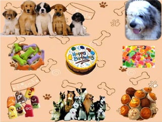 PASTELERÍA Y REPOSTERÍA CANINA