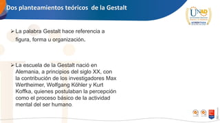 Dos planteamientos teóricos de la Gestalt
➢La palabra Gestalt hace referencia a
figura, forma u organización.
➢La escuela de la Gestalt nació en
Alemania, a principios del siglo XX, con
la contribución de los investigadores Max
Wertheimer, Wolfgang Köhler y Kurt
Koffka, quienes postulaban la percepción
como el proceso básico de la actividad
mental del ser humano.
 