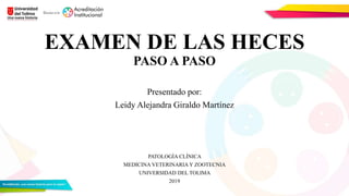 EXAMEN DE LAS HECES
PASO A PASO
Presentado por:
Leidy Alejandra Giraldo Martínez
PATOLOGÍA CLÍNICA
MEDICINA VETERINARIA Y ZOOTECNIA
UNIVERSIDAD DEL TOLIMA
2019
 