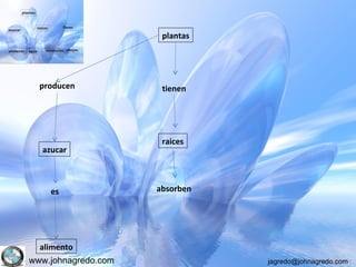 www.johnagredo.com jagredo@johnagredo.com
plantas
producen
azucar
es
alimento
tienen
raices
absorben
 