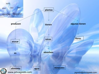 www.johnagredo.com jagredo@johnagredo.com
plantas
producen
azucar
es
alimento
tienen
raices
absorben
agua minerales
algunas tienen
flores
 