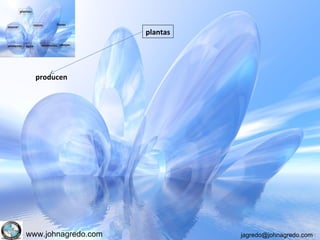 www.johnagredo.com jagredo@johnagredo.com
plantas
producen
 